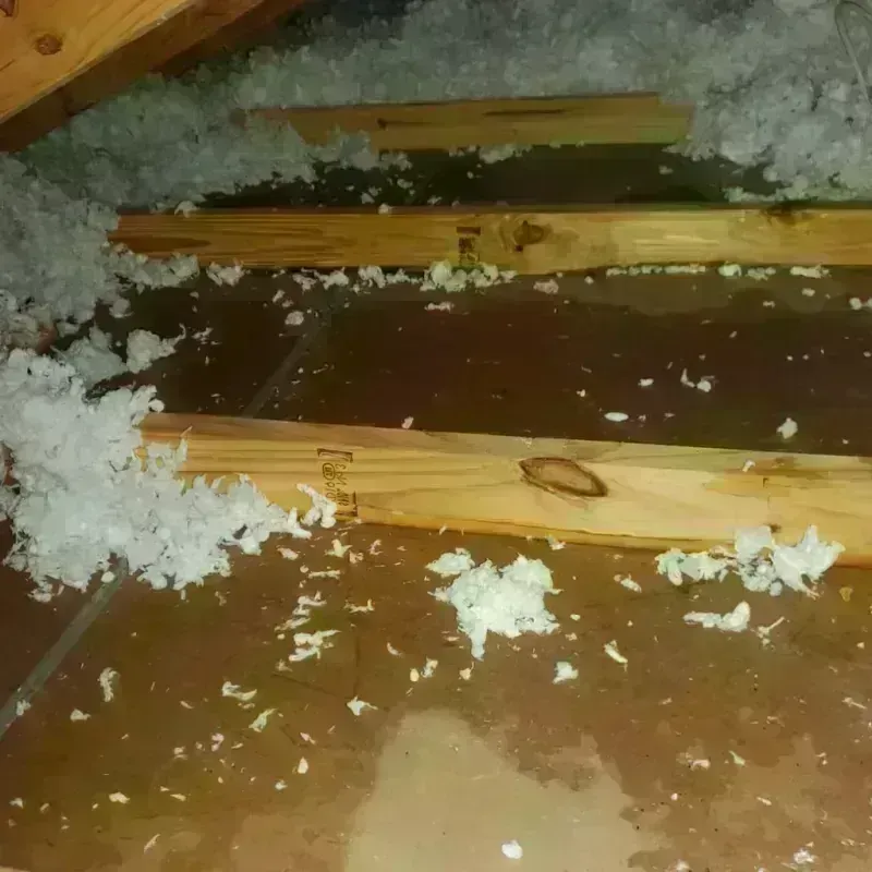 Attic Water Damage in Monroe County, WI