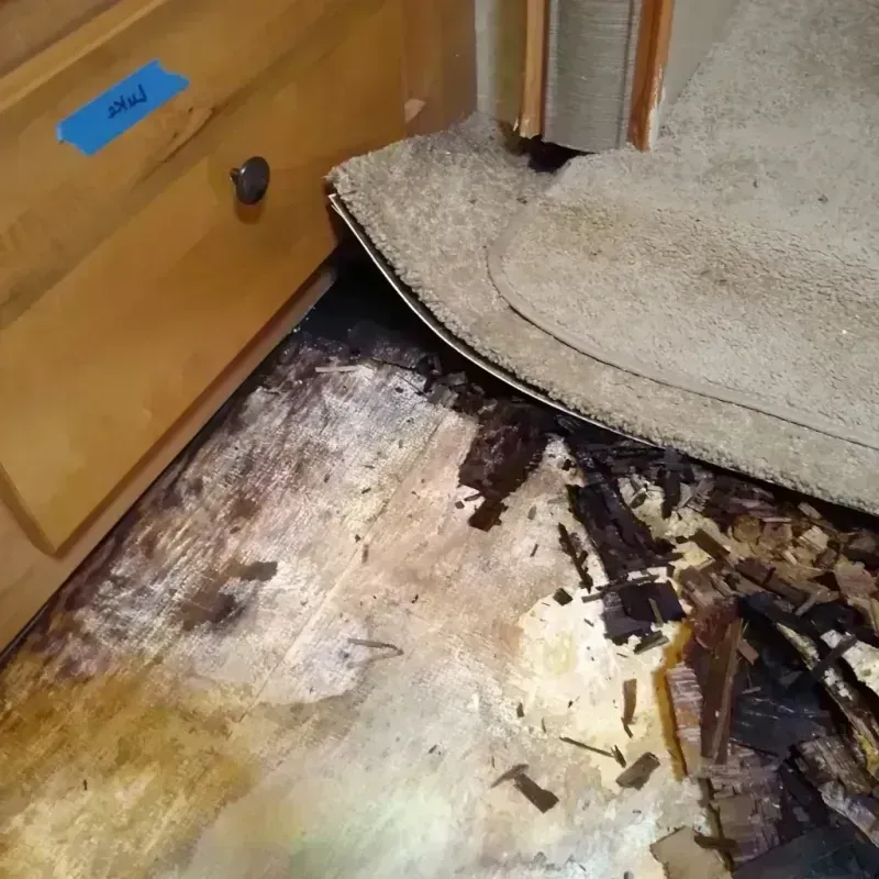 Wood Floor Water Damage in Monroe County, WI